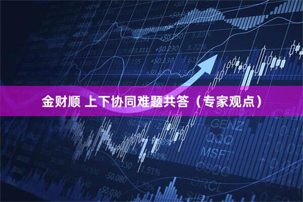 金财顺 上下协同难题共答（专家观点）